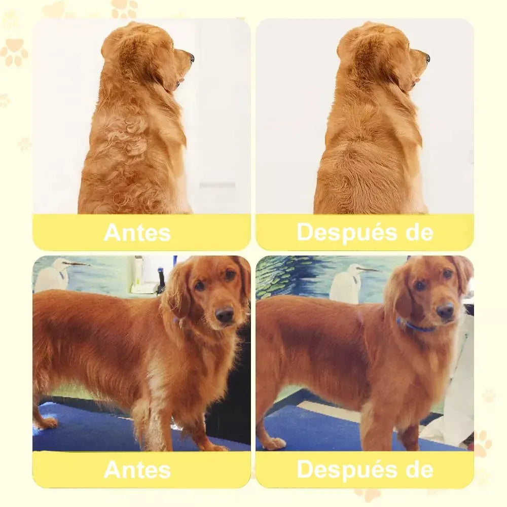 Cepillo Vapor para Mascotas